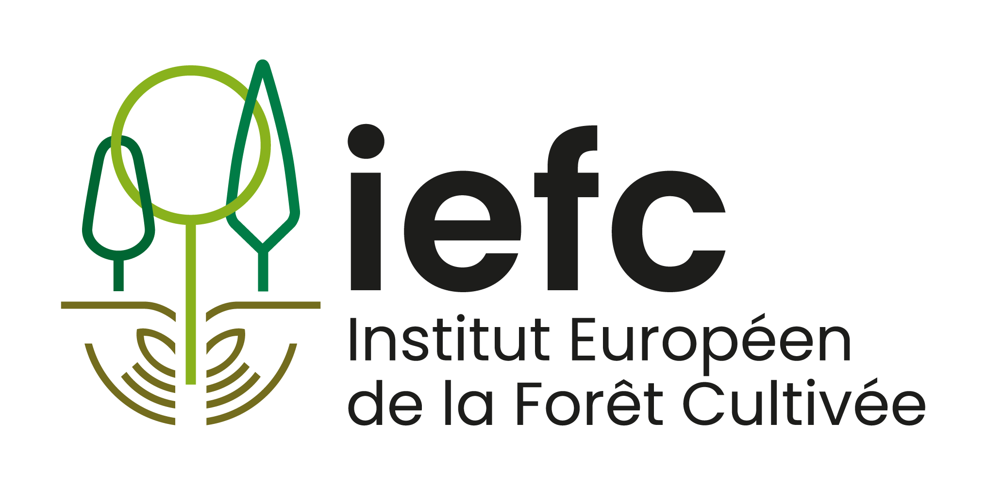 European Institute of Planted Forest – IEFC