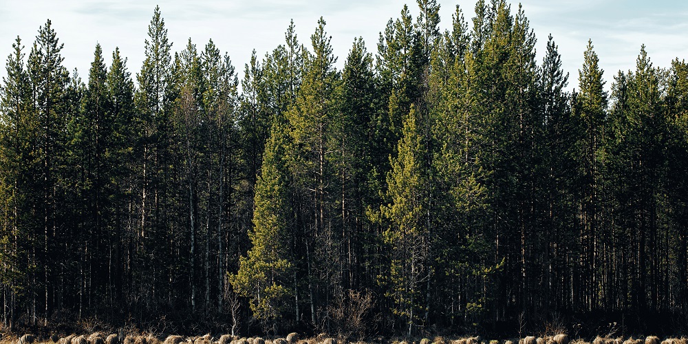 IEFC-ACCUEIL V2 IEFC-ACCUEIL V2