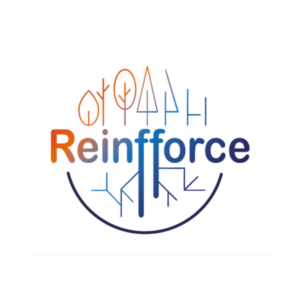 REINFFORCE 2_